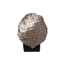 Beige GG Designer Silk Bonnet